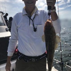 遊漁船メテオ 釣果