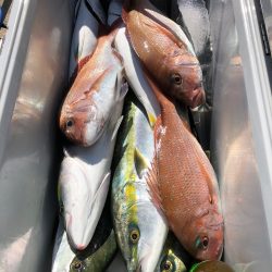 第二八坂丸 釣果