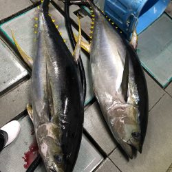 ＴＡＲＯＭＡＲＵ 釣果