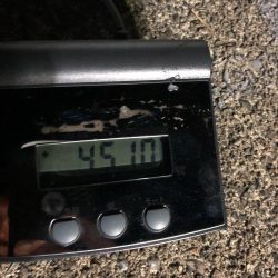 ＴＡＲＯＭＡＲＵ 釣果