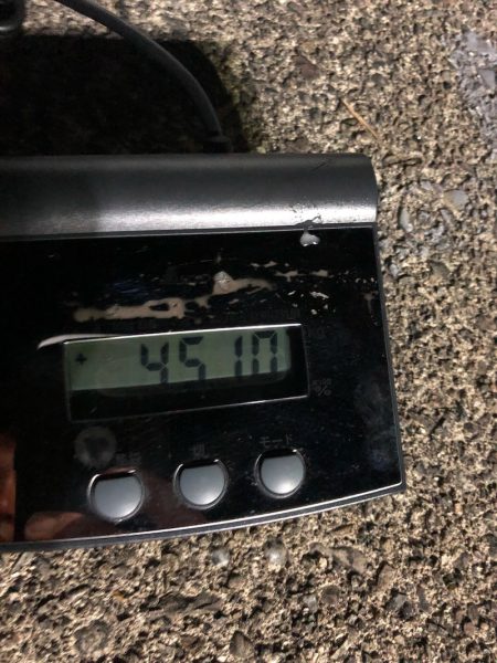 ＴＡＲＯＭＡＲＵ 釣果