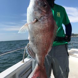 ランスルー 釣果