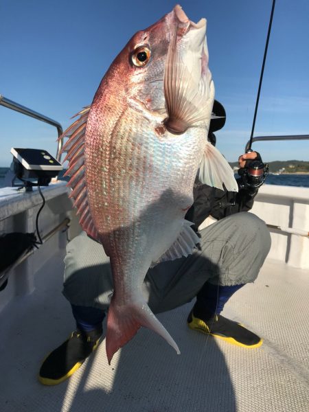 ランスルー 釣果