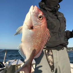 ランスルー 釣果