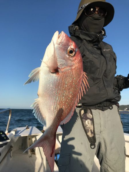 ランスルー 釣果