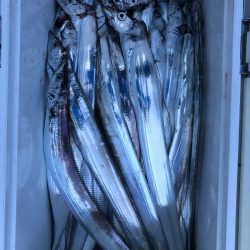 フィッシング キッタカ 釣果