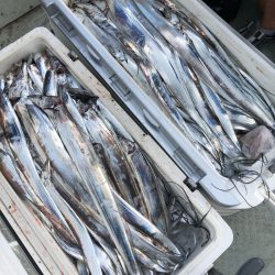 フィッシング キッタカ 釣果