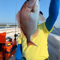 ランスルー 釣果