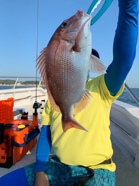 ランスルー 釣果