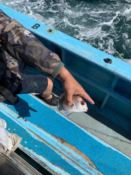 みやけ丸 釣果