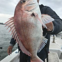 ランスルー 釣果