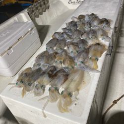 Monster Rush! 釣果