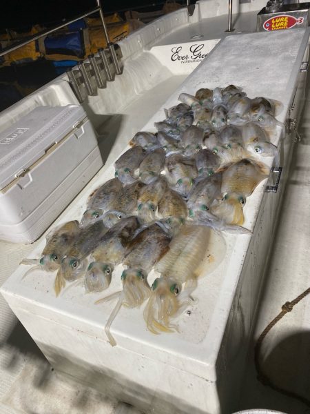 Monster Rush! 釣果