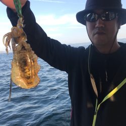 遊漁船メテオ 釣果