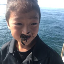 遊漁船メテオ 釣果