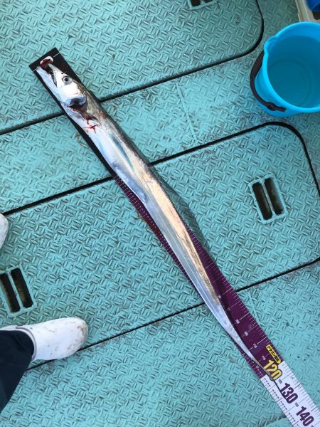 ヤザワ渡船 釣果