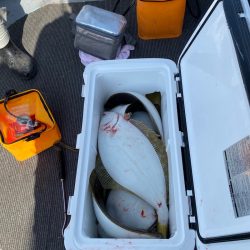 シーランチ 釣果