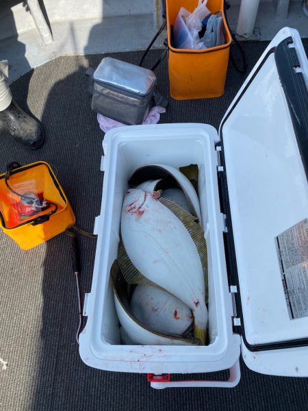 シーランチ 釣果