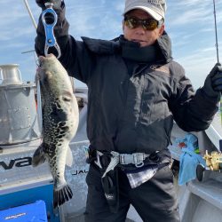 シーランチ 釣果