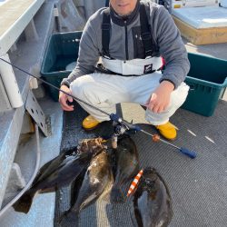 シーランチ 釣果