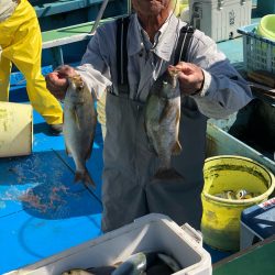 丸万釣船 釣果