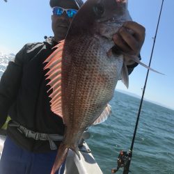 ランスルー 釣果