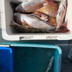 フィッシング キッタカ 釣果