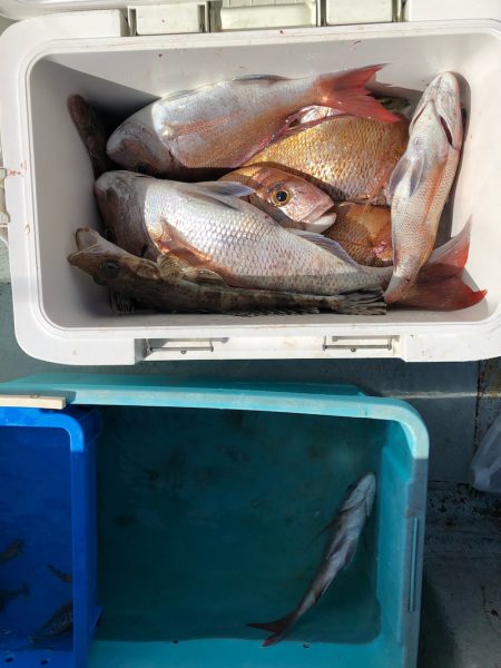 フィッシング キッタカ 釣果