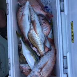 フィッシング キッタカ 釣果