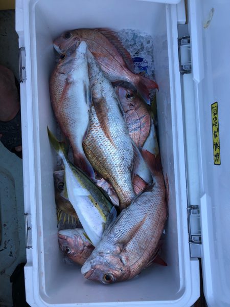 フィッシング キッタカ 釣果