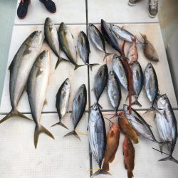 海楽隊 華栞丸 釣果