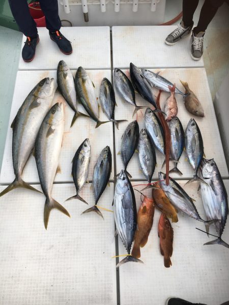 海楽隊 華栞丸 釣果