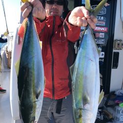 ビッグファイター 釣果