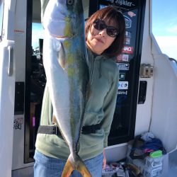 ビッグファイター 釣果