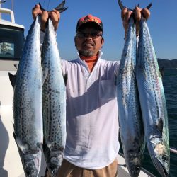 ビッグファイター 釣果