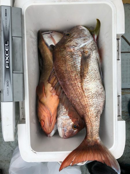 フィッシング キッタカ 釣果