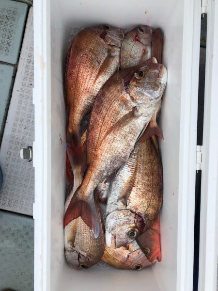 フィッシング キッタカ 釣果