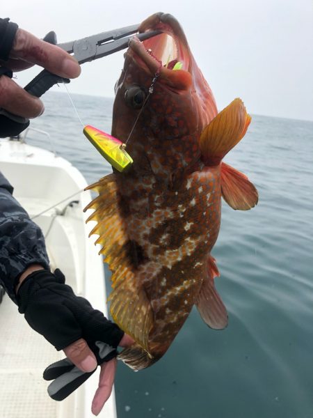 「LaGooN」蒼陽丸 日和号 釣果
