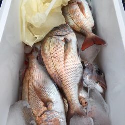 第二八坂丸 釣果