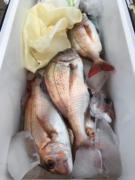 第二八坂丸 釣果