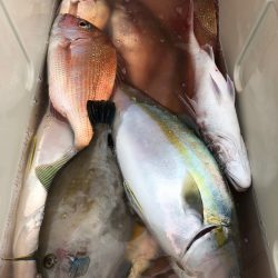 第二八坂丸 釣果