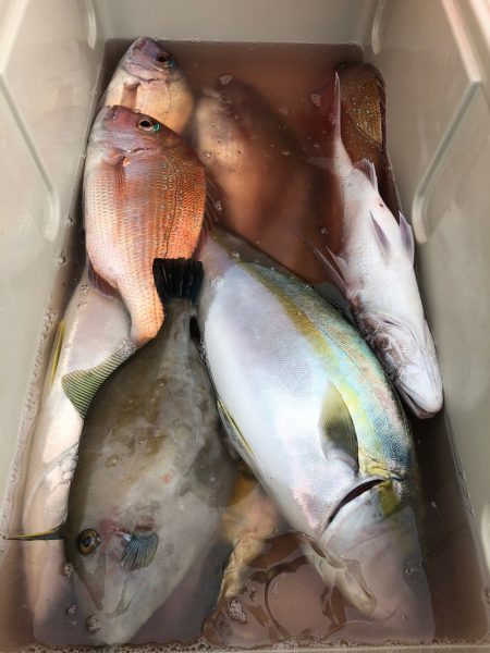 第二八坂丸 釣果