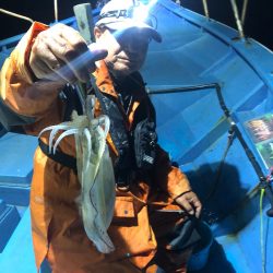 ヤザワ渡船 釣果