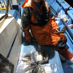 ヤザワ渡船 釣果