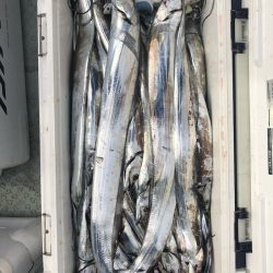 フィッシング　キッタカ 釣果