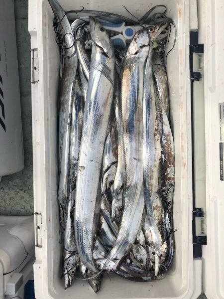 フィッシング　キッタカ 釣果