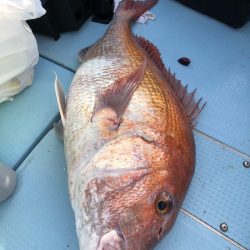 第二八坂丸 釣果