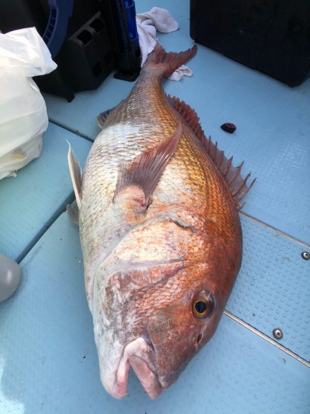 第二八坂丸 釣果