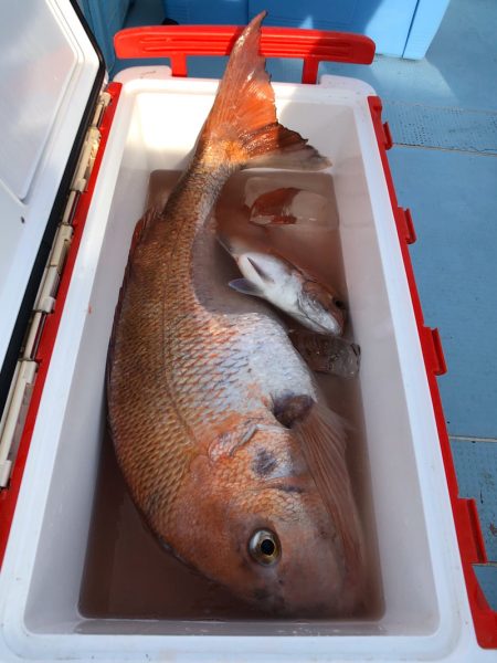 第二八坂丸 釣果