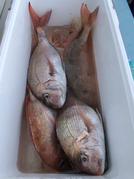 第二八坂丸 釣果